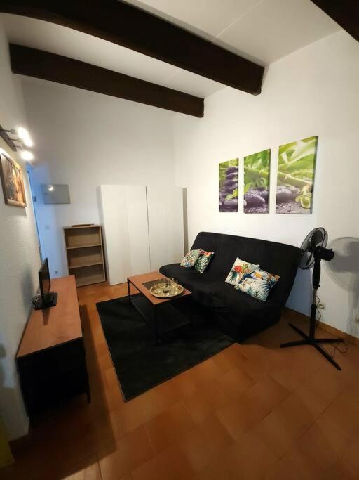 A 8 Mn A Pied Des Plages Appartement Avec Piscine Et Tennis Argelès-sur-Mer Exterior foto
